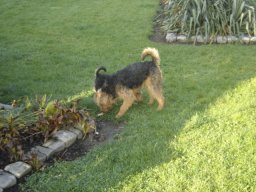 le_nouveau_bobby_20211126_1884964238